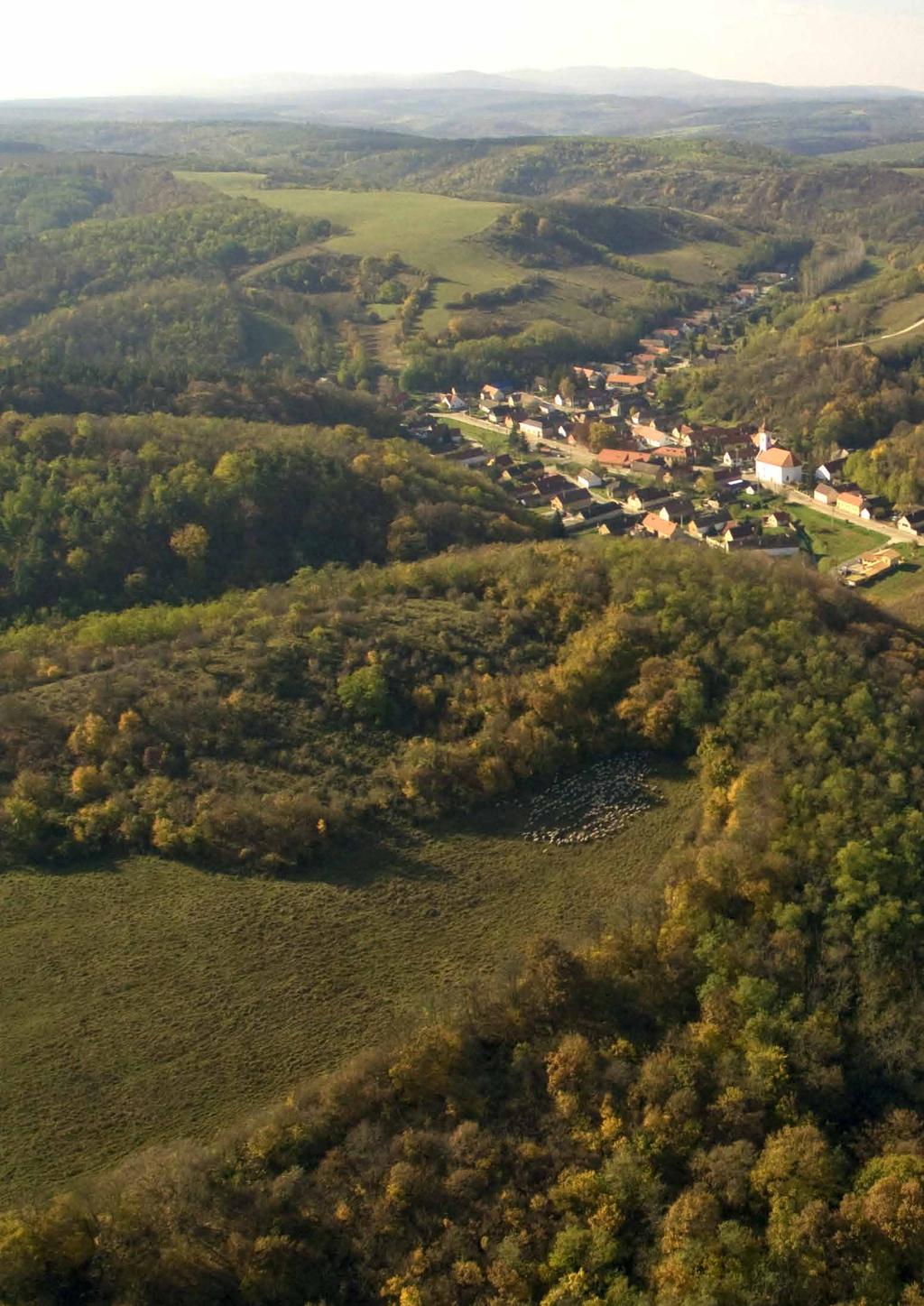 A jövő perspektívája Dr.