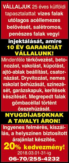 - Olyan Kecskemét múltjában gyökerező produkciókat, képzőművészeti alkotásokat mutatunk be, amelyek még nem kerültek a nagyközönség elé.