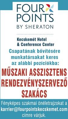 szempontból is. Nagyon sok olyan CV érkezik be hozzánk és a partnereinkhez is, ami tele van hibával.