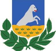 fontos szerepet.
