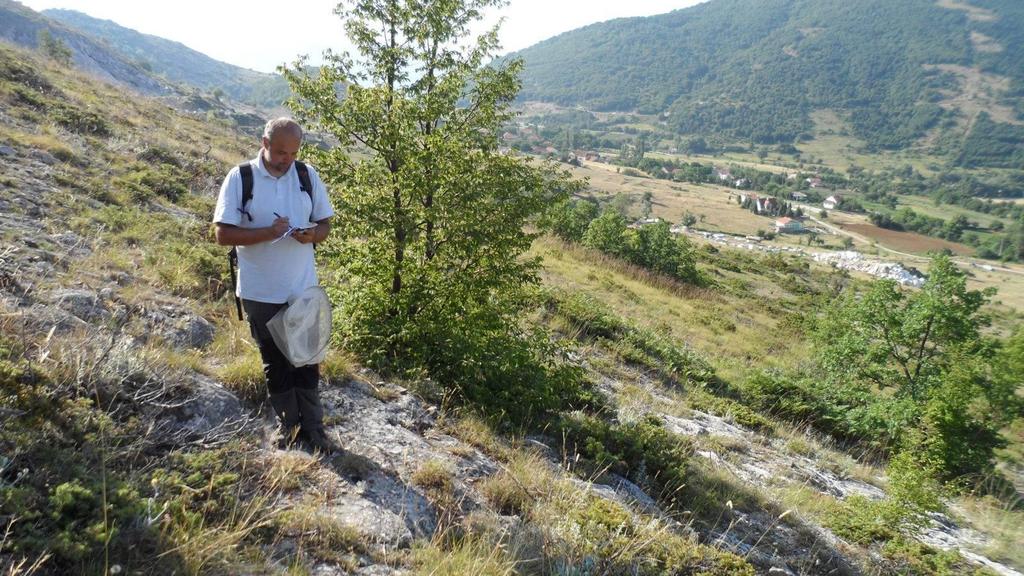 A bejárások A nappali lepke monitoring fő célja az adatgyűjtés az évek során a populáció méretekben (abundancia) végbemenő változások összehasonlíthatóságának érdekében.