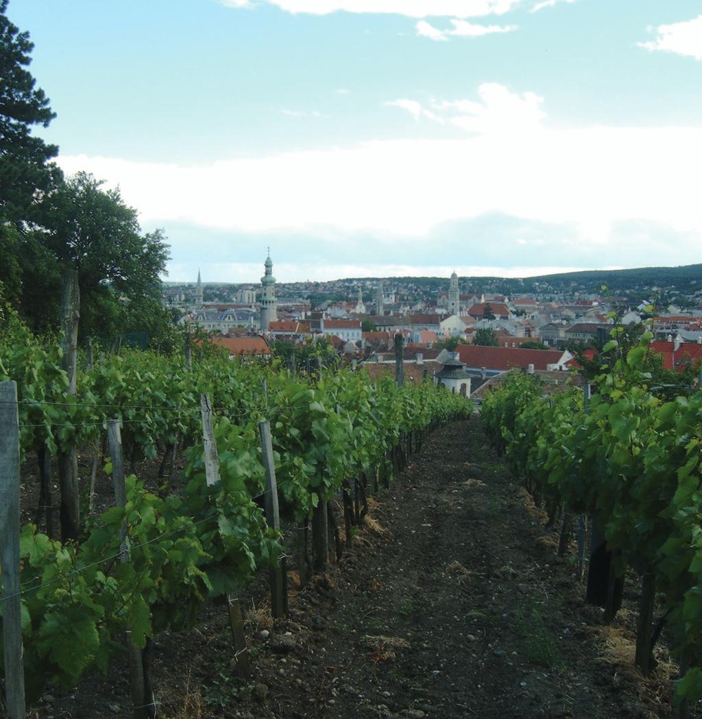 Sopron magyar_955:layout 1 8/4/2008