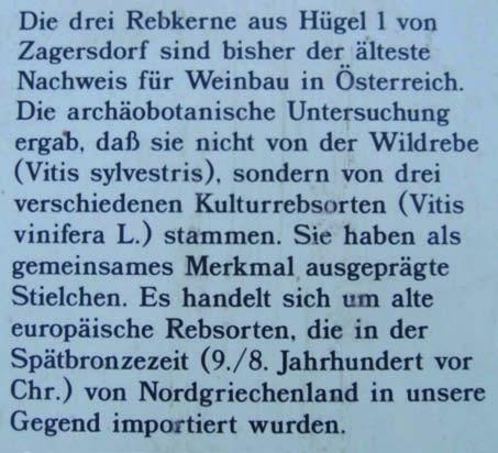 borgazdálkodásról. Sopronban a Jereván lakótelep építésekor kerültek elő a vaskorból származó hallstadti szőlőmagvak.