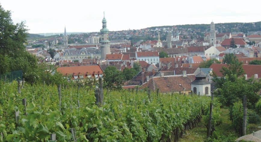 várossal.