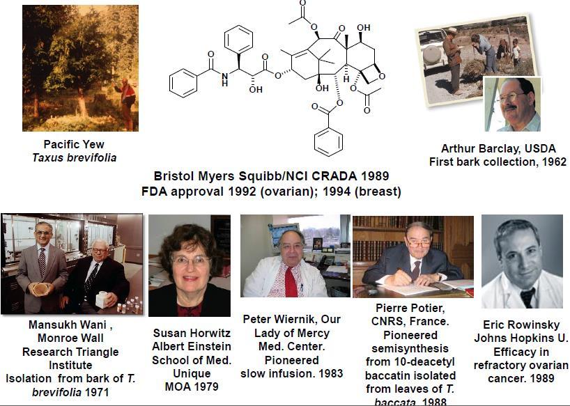 A taxol