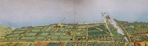 160 Wettstein Domonkos 8. ábra. Új-Siófok fürdőtelep és környékének helyszínrajza (Forrás: Balatoni Múzeum S.80.8.116.