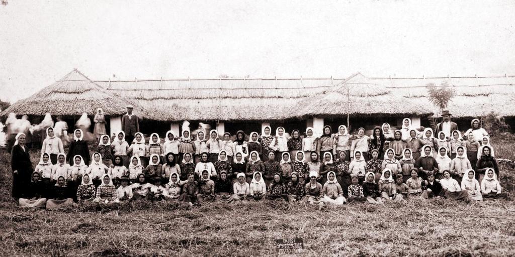 24. Az őrjegi gyógynövény telep kiskőrösi