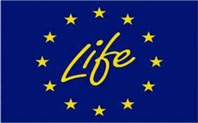 EU hozzáadott értékek tükröződése a LIFE Éghajlat-politikai Alprogramban A klímaváltozás mérséklése prioritás alatt futó projekteknek hozzá kell járulnia az alacsony szén-dioxid kibocsátású