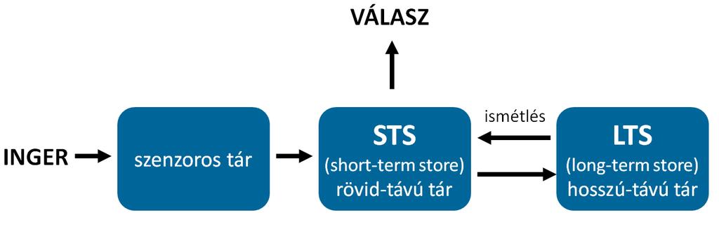 RÖVID- VS.