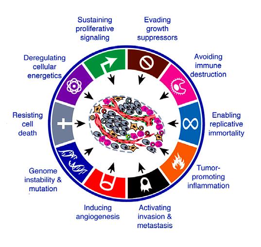 mutation Avoiding immune destruction Enabling replicative immortality Tumourpromoting inflammation Cytokinek T-REGS CA-125- Abagovomab