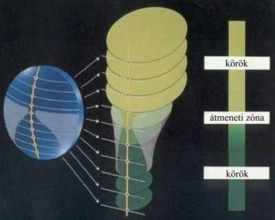 A progresszív lencsék felületének kialakítása A multifokális szemüveglencsék eleinte úgy készültek, hogy a konvex