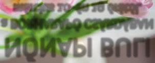 anyagbeszerzés, stb.) Elvárás: min.