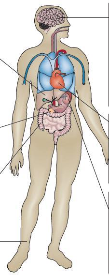 ADPKD és