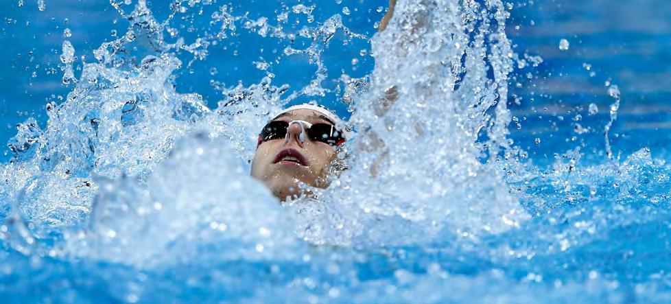 28 29 FINA VIZES VB 2017 2017-ben Magyarország rendezhette meg a világ egyik legkiemelkedőbb sportrendezvényét, a FINA Vizes Világbajnokságot, amelynek szervezőbizottsági elnöke dr.