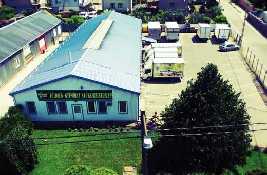 GEMINI TRADE KFT. A mindennapok frissessége A Trans-Sped-Papirusz Kft. 1996 januárja óta végzi teherfuvarozó tevékenységét. Tulajdonosai a nyíregyházi Dunapack Kft.