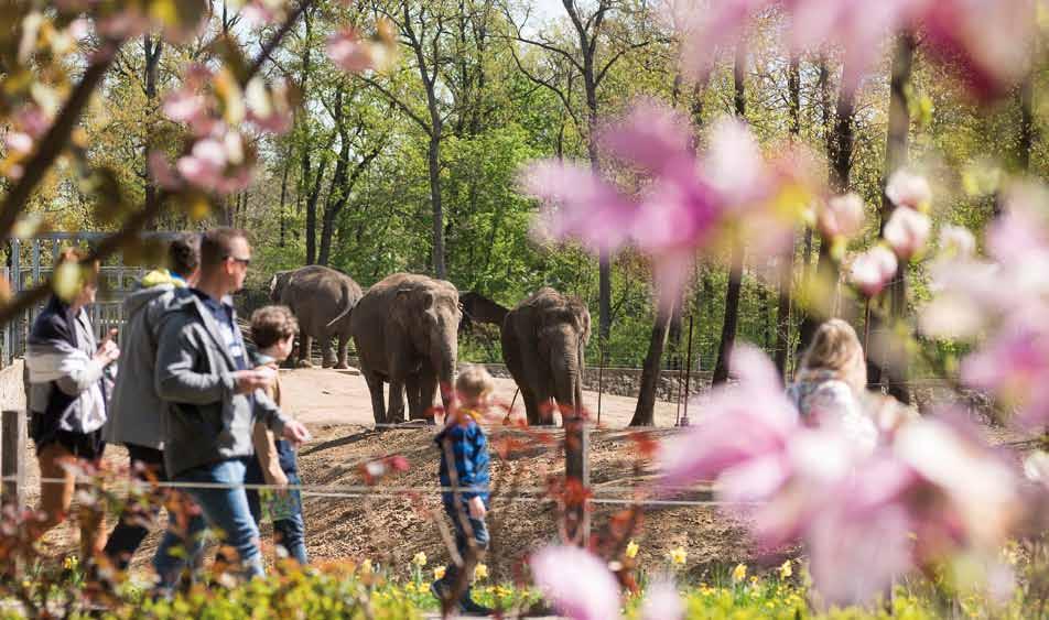 Földrészeken át Sóstó ZOO A Nyíregyházi Állatpark, mely 2015-ben elnyerte Európa legjobb állatkertje címet, rendkívül különleges állatgyűjteménnyel rendelkezik.