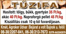 Szappanos Mihály +36 20 355 9746 AKÁCÁGAK ingyen elvihetők, KAMINO kályha és kis fagyasztószekrény peedig eladó.