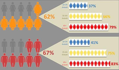 A túlsúly gyakorisága nem és kor szerint Magyarországon Országos Táplálkozás és Tápláltsági Állapot Vizsgálat 2014 Magyar nők: Magyar férfiak: A 18-34