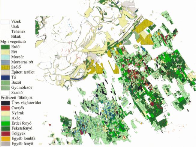 rádiótelemetria, 1993-2006 Egyedi