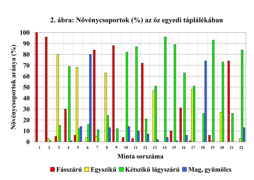 , Tóth, P., Katona, K., Székely, J. 2004.