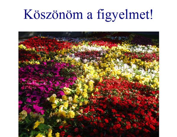 Az anyai életkor és a születési sorrend hogyan befolyásolja a nem osztályozott multiplex veleszületett rendellenességek előfordulását Klinikai jelentőség: Mivel az estek előfordulása nem életkor