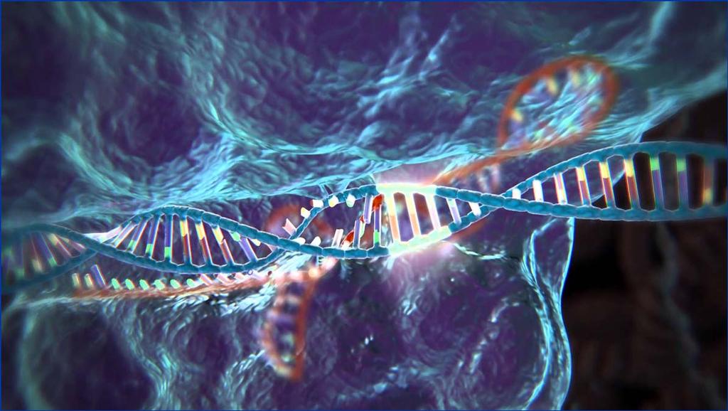! A CRISPR rendszer a baktériumok
