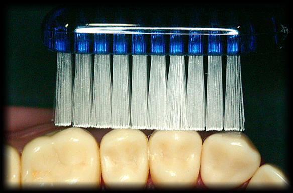 the tooth tissue