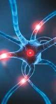 Dr. Verena Breitenbach nőgyógyászként praktizál. A mágneses ékszerek és kiegészítők egészségmegőrző hatása számára is meggyőző eredményeket mutatnak.