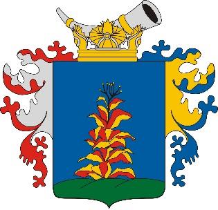 Tartalomjegyzék Bevezetés 2 TARTALOMJEGYZÉK 1. Bevezetés 3 2. Királyhegyes bemutatása 5 A település története, általános településkép, településkarakter 3.