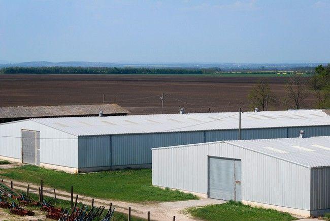 Itt eltérő jellegű és funkciójú épületek sorakoznak, melyekre eltérő építészeti előírások is vonatkoznak. Az épületek alacsony, jellemzően egyszintes kialakításúak.