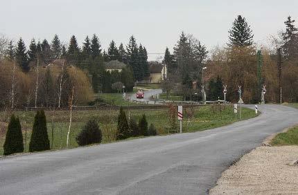 Rajtuk kívül meg kell említenünk a Rancho és a Kamon fajtákat is. Az előbbi kiskertekben is megállja helyét, míg utóbbi zárt, tömött, kúpos koronájával parkok szoliter ékessége lehet.