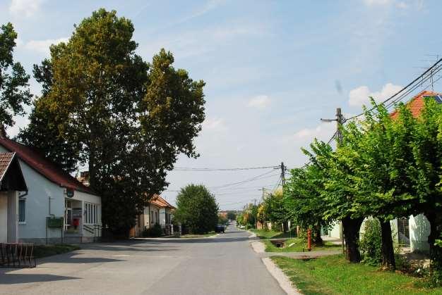 mondhatók.