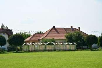 zöldfelület