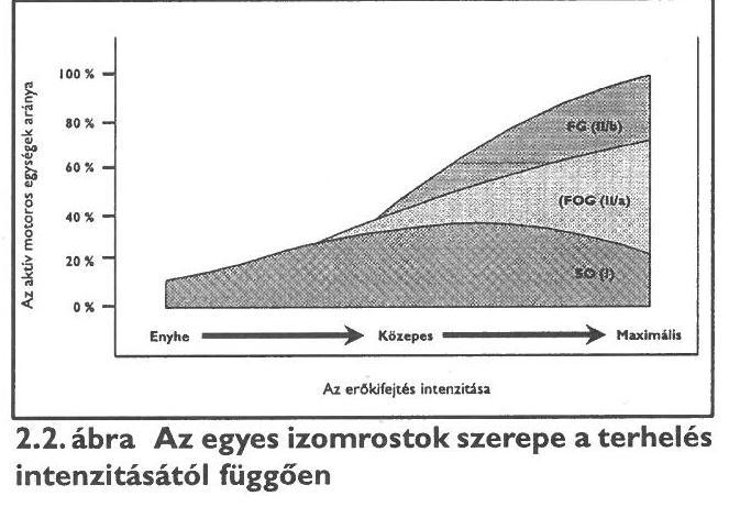 AZ IZOMROSTOK