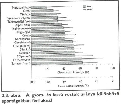 GYORS ÉS