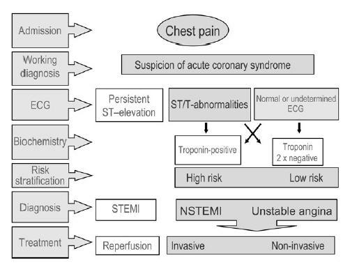 Panasz Gyanú Mellkasi fájdalom Akut koronária szindróma gyanú EKG Permanens ST eleváció ST/T eltérések ~ Normális EKG Labor Troponin pozitív