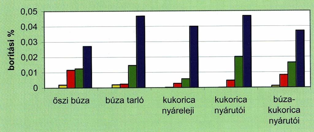 virágkötészetben