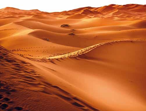 Lifestyle & Adventure sek, a nyilvános halál elrettentő büntetés és látványos attrakció is volt egyben.