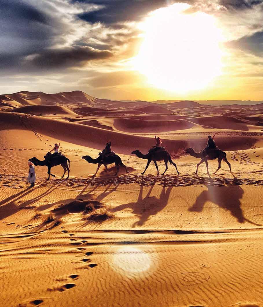 Country Profile Gyöngyszemek a sivatagban Pearls in the desert Ahol zöldbe