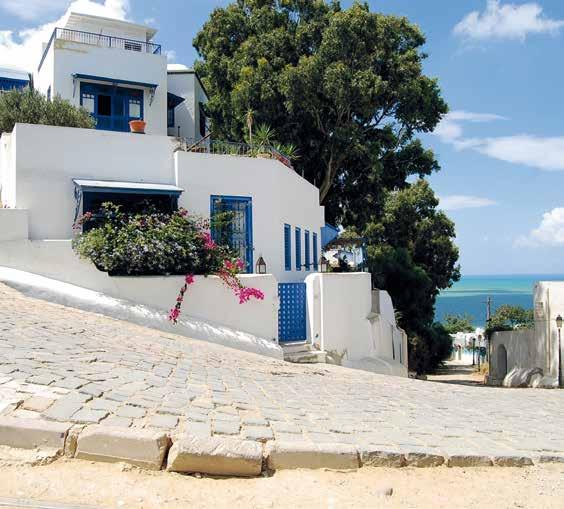 Lifestyle & Adventure Algeria in the West and Libya in the South- East. Its peninsula, called Cap Born, is only 140 kilometres away from Sicily.
