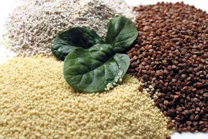 Nem csupán Marokkóban készítik ezt az ételt, Tunéziában is olyannyira NORTH AFRICA S RICE, THE COUSCOUS The couscous, so popular in North Africa, seems like a simple, cooked wheat garnish, but to