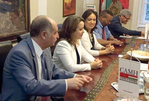 Business Újabb mérföldkõhöz értek a Magyar Házak The Hungarian Houses reached another milestone A Magyar Kereskedelmi és Kulturális Központok nem ismeretlenek már a külföldi piacokat meghódítani