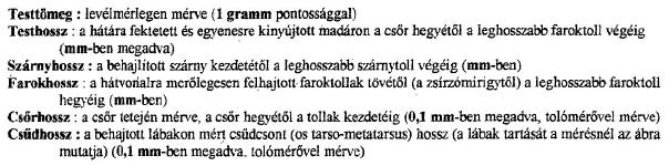 Rend: Lilealakúak Család: Szalonkafélék Faj: Erdei szalonka (Scolopax rusticola) Vadászhatóság: vadászható faj, de nincs vadászati idény (2008-tól, korábban vadászható márc.1. - ápr.10.