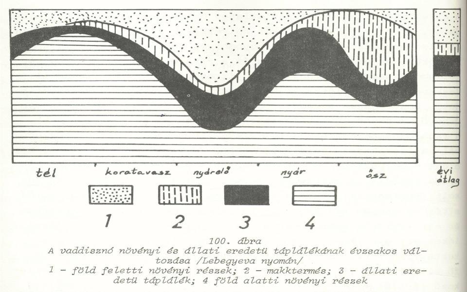 Vaddisznó tápláléka I Vaddisznó tápláléka II (Gazdag Ferenc, 2002 Adatok a vaddisznó táplálkozásáról Vadbiológia, 9: 66-72) Gyomortartalom vizsgálat 33 egyedből, főleg nyáron mezőgazdasági területen,