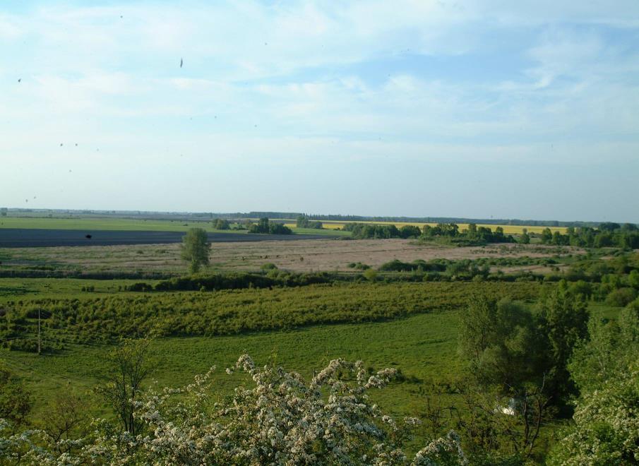 NÖVÉNYEK 616 629 MINTAVÉTEL IDŐPONTJAI 718 731 815 830 915 930 1030 Fásszárúak 26 43 63 64 49 54 37 40 43 Kétszikűek 11 27 7 10 26 21 40 38 17 Egyszikűek 59 30 30 26 17 13 22 19 37 Búza-félék