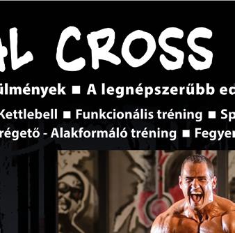 Amikor az orvos felír egy tablettát, amivel pajzsmirigy hormont jutat a szervezetbe, az csak tüneti kezelés. Amikor az inzulinrezisztenciára gyógyszert kapunk az is csak tüneti kezelés.