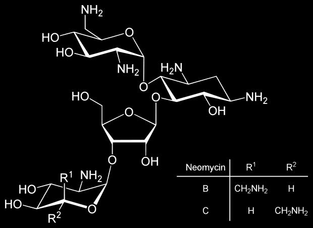 peszticid, fungicid Streptomyces griseus Izolálás: S.
