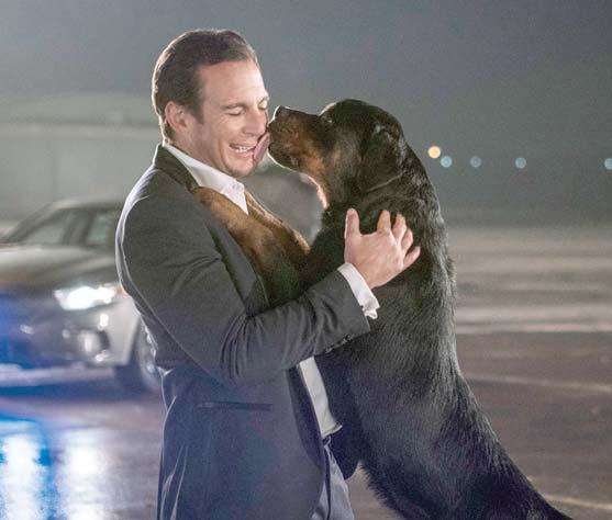 Cinema City Aréna, Lurdy, Sugár Kutyaparádé 53 Show Dogs. szín. mb. am. kalandf. 92 p. 2018. R.: Raja Gosnell. Fsz.: Natasha Lyonne, Will Arnett, Delia Sheppard.