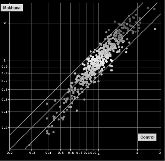 Antibody array és Western blot analízis A Makhanával kezelt szívszövetekben nagyobb mennyiségben expresszálódó proteineket vizsgáltunk közismert adatbázisok (SwissProt, LocusLink) segítségével és