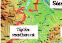 elvárásokhoz megfelelő agrotechnikát alkalmazni és megfelelő fajtát választani.